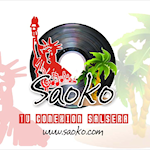 www.saoko.com